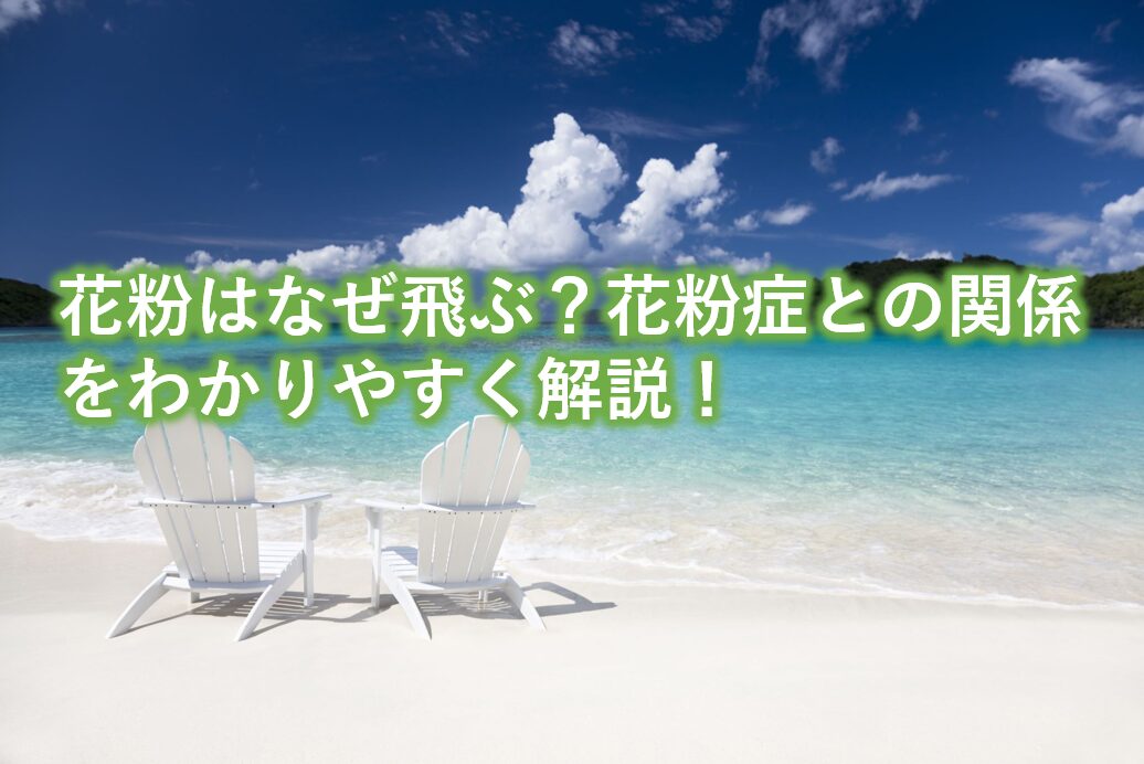 花粉はなぜ飛ぶ？花粉症との関係をわかりやすく解説！
